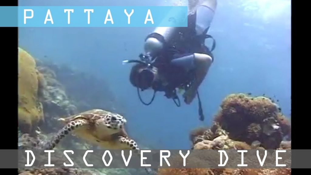 Thailand | Scuba Diving in Pattaya | Travel Asia and Beyond