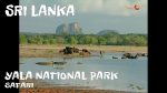 Sri-Lanka-A-safari-at-Yala-National-Park