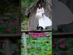 Harvesting-Red-Lotus-Flowers-🌺-Thailand-Vietnams-Stunning-Pink-Lakes